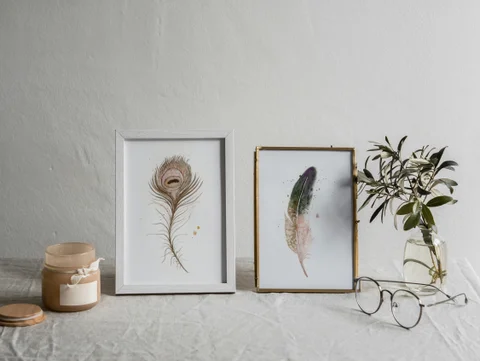 Image of a feather watercolor painting by Shayna Larsen, originals & prints available