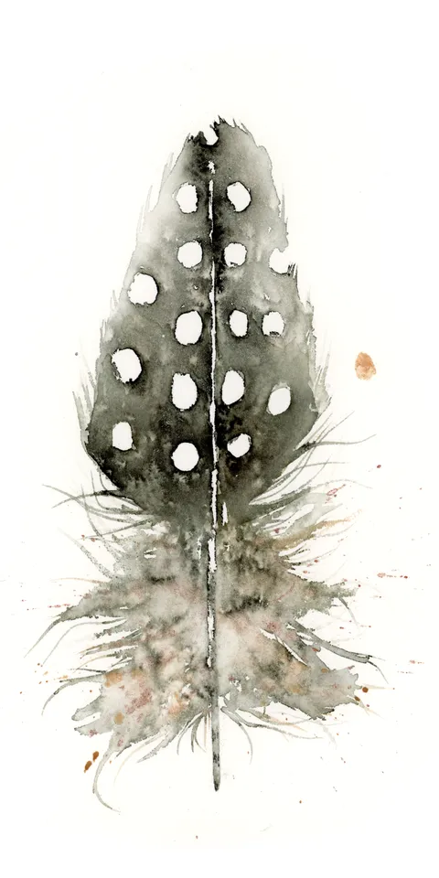 Image of a feather watercolor painting by Shayna Larsen, originals & prints available