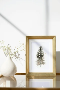 Image of a feather watercolor painting by Shayna Larsen, originals & prints available
