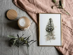 Image of a feather watercolor painting by Shayna Larsen, originals & prints available