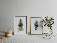 Image of a feather watercolor painting by Shayna Larsen, originals & prints available