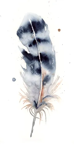 Image of a feather watercolor painting by Shayna Larsen, originals & prints available