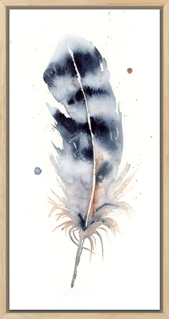 Image of a feather watercolor painting by Shayna Larsen, originals & prints available
