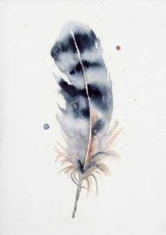 Image of a feather watercolor painting by Shayna Larsen, originals & prints available
