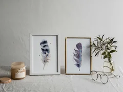 Image of a feather watercolor painting by Shayna Larsen, originals & prints available