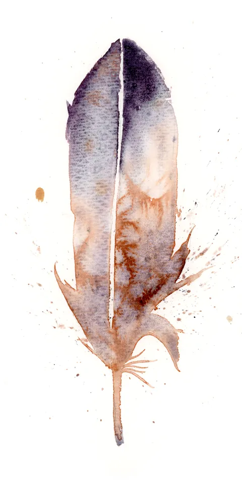 Image of a feather watercolor painting by Shayna Larsen, originals & prints available