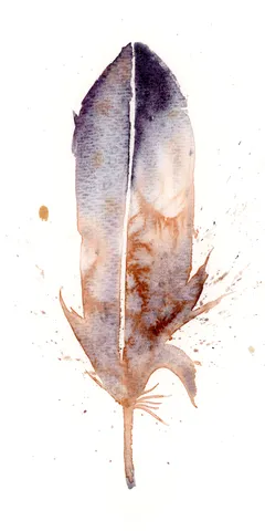 Image of a feather watercolor painting by Shayna Larsen, originals & prints available