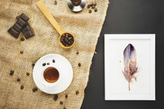 Image of a feather watercolor painting by Shayna Larsen, originals & prints available
