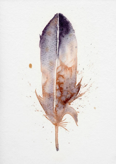 Image of a feather watercolor painting by Shayna Larsen, originals & prints available