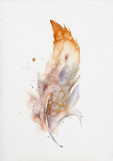 Image of a feather watercolor painting by Shayna Larsen, originals & prints available