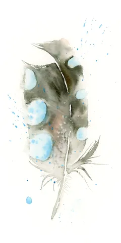 Image of a feather watercolor painting by Shayna Larsen, originals & prints available