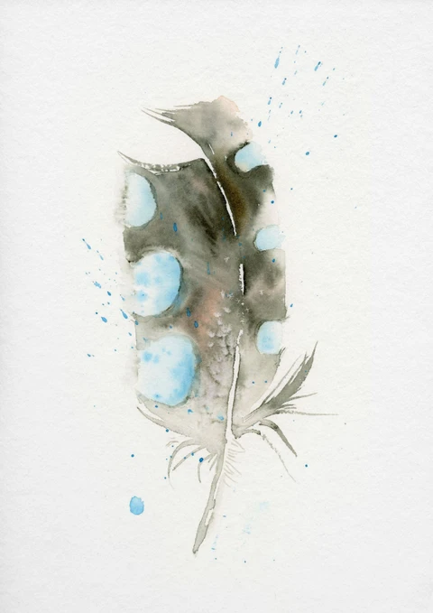 Image of a feather watercolor painting by Shayna Larsen, originals & prints available