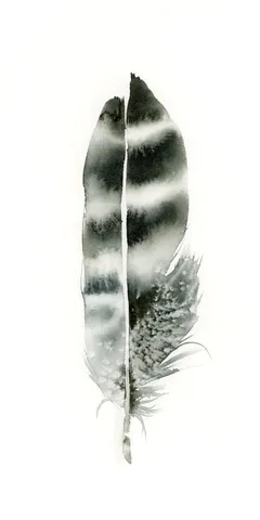 Image of a feather watercolor painting by Shayna Larsen, originals & prints available