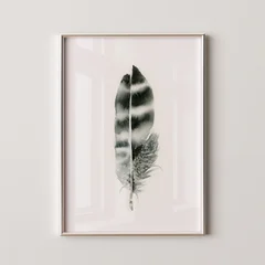 Image of a feather watercolor painting by Shayna Larsen, originals & prints available