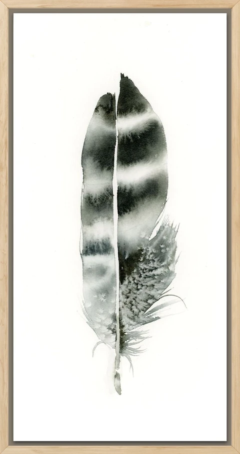 Image of a feather watercolor painting by Shayna Larsen, originals & prints available