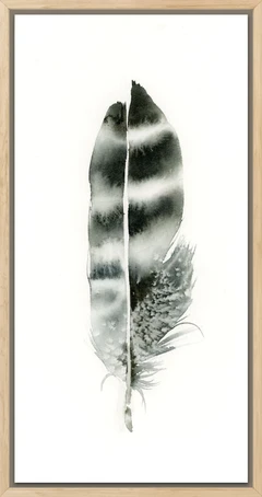 Image of a feather watercolor painting by Shayna Larsen, originals & prints available