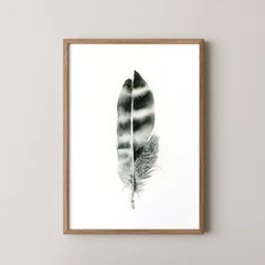 Image of a feather watercolor painting by Shayna Larsen, originals & prints available
