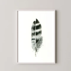 Image of a feather watercolor painting by Shayna Larsen, originals & prints available