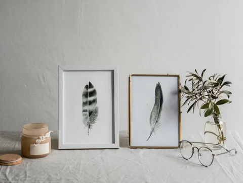 Image of a feather watercolor painting by Shayna Larsen, originals & prints available