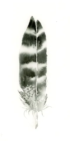 Image of a feather watercolor painting by Shayna Larsen, originals & prints available