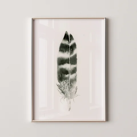 Image of a feather watercolor painting by Shayna Larsen, originals & prints available