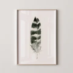 Image of a feather watercolor painting by Shayna Larsen, originals & prints available