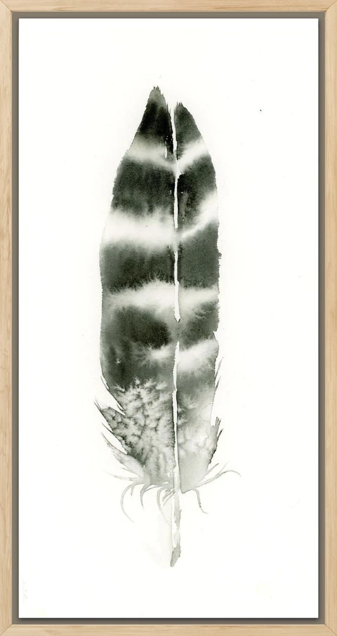 Image of a feather watercolor painting by Shayna Larsen, originals & prints available