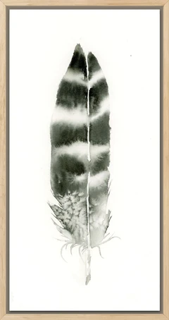 Image of a feather watercolor painting by Shayna Larsen, originals & prints available