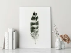 Image of a feather watercolor painting by Shayna Larsen, originals & prints available