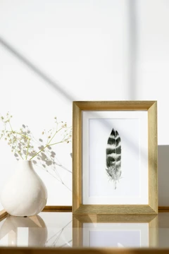 Image of a feather watercolor painting by Shayna Larsen, originals & prints available