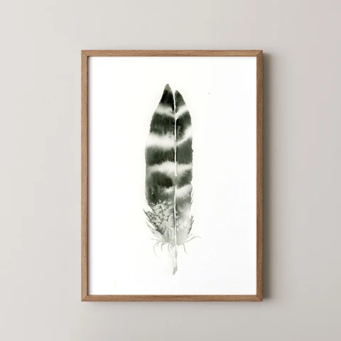 Image of a feather watercolor painting by Shayna Larsen, originals & prints available