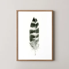 Image of a feather watercolor painting by Shayna Larsen, originals & prints available