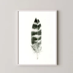 Image of a feather watercolor painting by Shayna Larsen, originals & prints available
