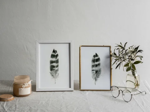 Image of a feather watercolor painting by Shayna Larsen, originals & prints available