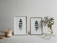 Image of a feather watercolor painting by Shayna Larsen, originals & prints available