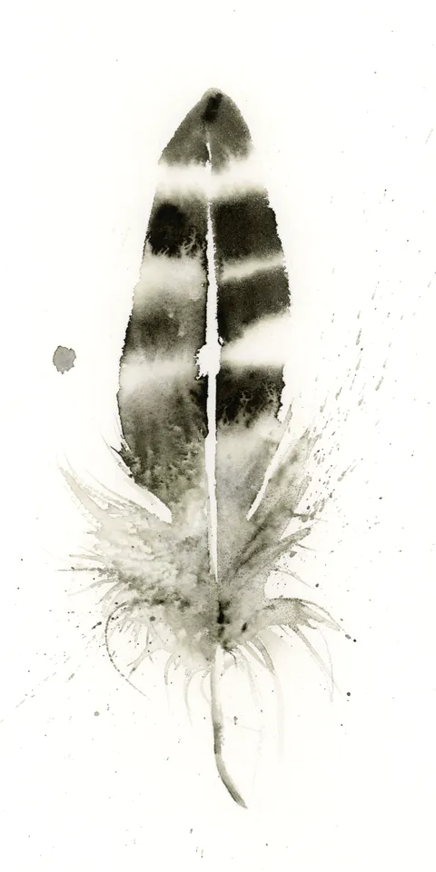 Image of a feather watercolor painting by Shayna Larsen, originals & prints available