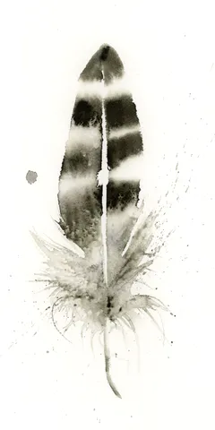 Image of a feather watercolor painting by Shayna Larsen, originals & prints available