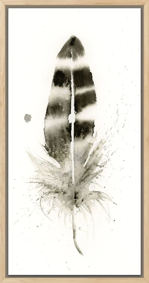 Image of a feather watercolor painting by Shayna Larsen, originals & prints available