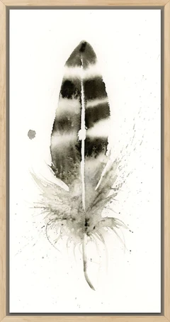 Image of a feather watercolor painting by Shayna Larsen, originals & prints available