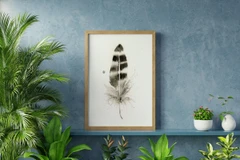 Image of a feather watercolor painting by Shayna Larsen, originals & prints available