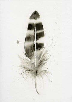 Image of a feather watercolor painting by Shayna Larsen, originals & prints available