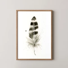 Image of a feather watercolor painting by Shayna Larsen, originals & prints available