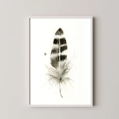 Image of a feather watercolor painting by Shayna Larsen, originals & prints available