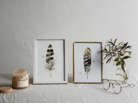 Image of a feather watercolor painting by Shayna Larsen, originals & prints available