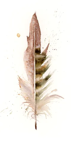 Image of a feather watercolor painting by Shayna Larsen, originals & prints available
