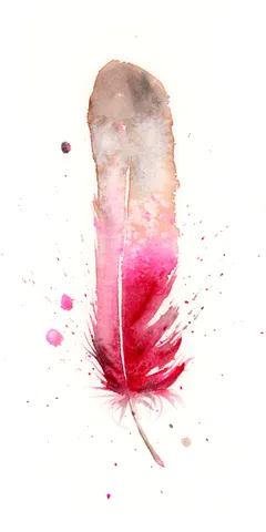 Image of a feather watercolor painting by Shayna Larsen, originals & prints available