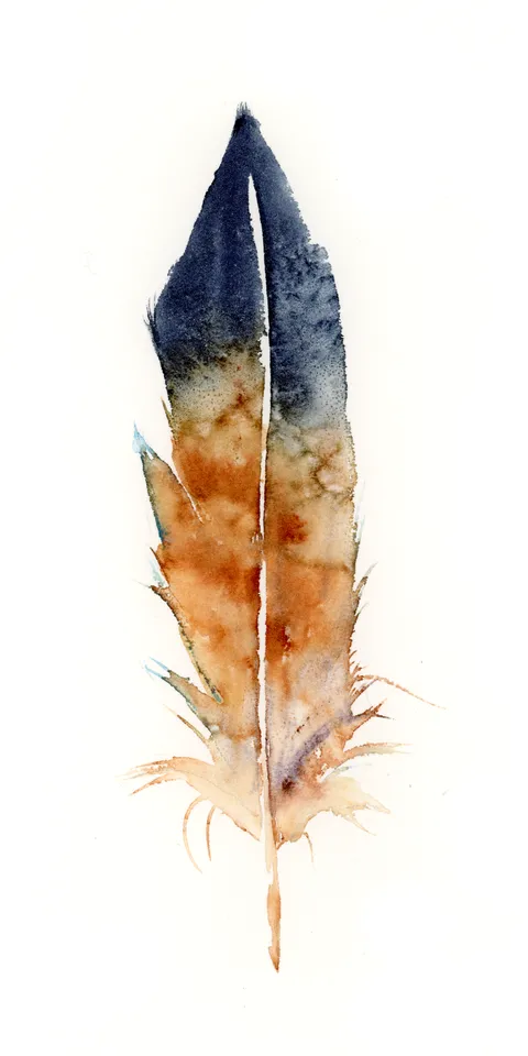 Image of a feather watercolor painting by Shayna Larsen, originals & prints available