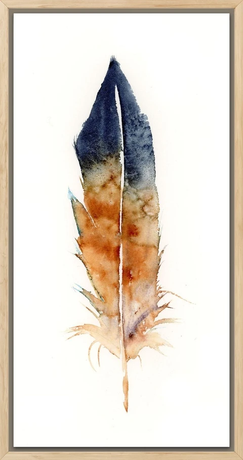 Image of a feather watercolor painting by Shayna Larsen, originals & prints available