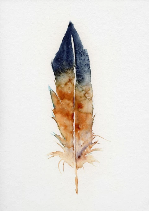 Image of a feather watercolor painting by Shayna Larsen, originals & prints available