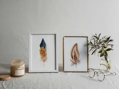 Image of a feather watercolor painting by Shayna Larsen, originals & prints available